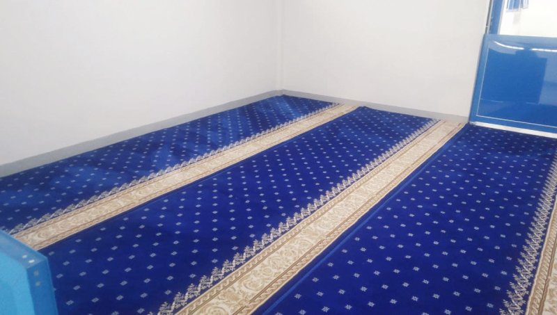 Turki Grade B